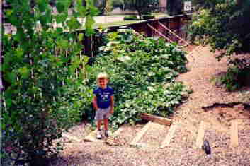 Little Boy Will in his Mother's Garden