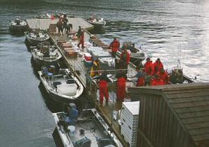 View of the dock at North Island Lodge