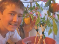 Will shows off his pepper, grown indoors from seed